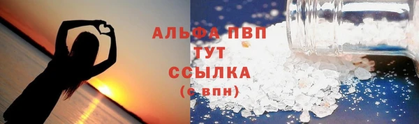 спайс Каменка